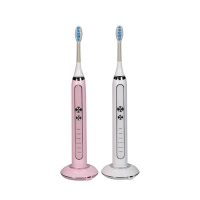 China Battery Powered China Made Professional Wholesale Lithum Battery Versatile Custom Toothbrush for sale