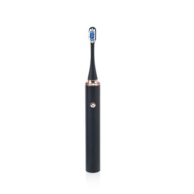 China Popular Stainless Steel Family Housing Travel Used Electric Rotary Smart Toothbrush Making Machine Automatic for sale