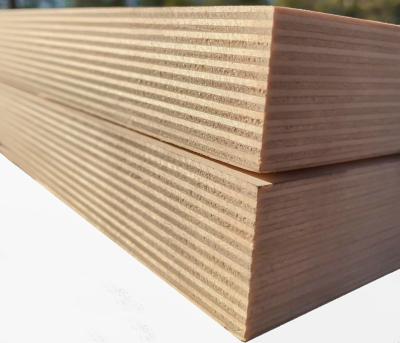 China Modern hot sale cheap price birch plywood with thickness 25mm russian birch plywood for sale