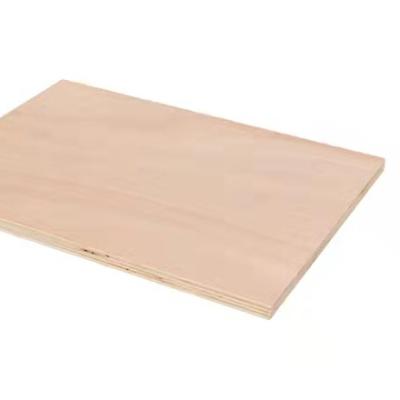 China Modern Birch Plywood Commercial Plywood Sheet 4x8 For Furniture for sale