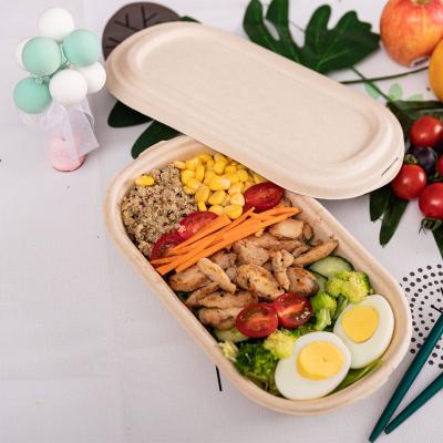 Chine Boîte compostable biodégradable d'emballage de pulpe de 100% pour la salade à vendre