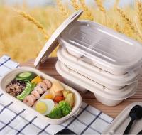 Cina Contenitore per il pranzo con polpa di canna da zucchero per alimenti, monouso, compostabile al 100%. in vendita