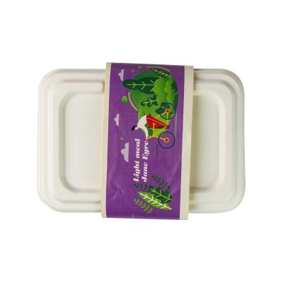 China Biodergadable Sugarcane Bagasse Food Container Pulp Molded Harmless Disposable for sale