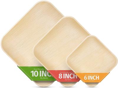 China “ Vierkant Palmblad biologisch afbreekbare 6 die Tray For Charcuterie dienen Te koop