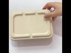 Various Sizes Compostable Clamshell Packaging , Disposable Bagasse Lunch Box 1000ml