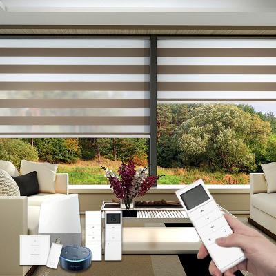 China Minimalist Zebra Blinds Double Layer Bead Rope Window Bow Polyester Blackout Zebra Shades Day and Night for sale