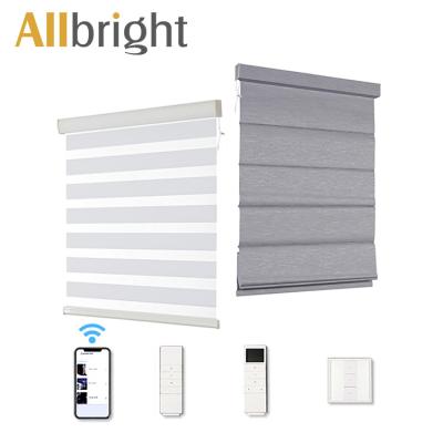 China Minimalist Warm Style Wifi Dye Smart Automatic Automatic Light Filtering Wire Sleek Minimalist Day And Night Motorized Zebra Electronic Roller Blinds for sale