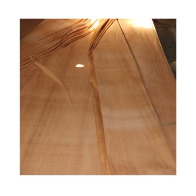 China Modern High Recommend Bintangor Veneer Wooden Door Curved Panels Veneer Wood for sale