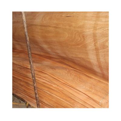 China Modern poplar core and Bintangor wood face white reconditioned stained exterior laminate for sale