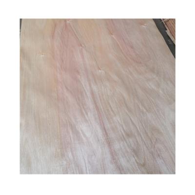 China Modern Popular Recommend 2Mm Macassar Ebony Wood Veneer Board Wood Veneer for sale