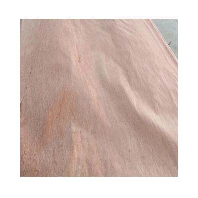 China Modern Popular Recommend Cheap Price Mosaic Burl Wood Veneer For Skateboard for sale