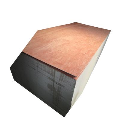 China Modern factory direct plywood sheet Laminatd maple plywood sheet construction for sale