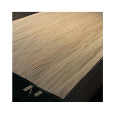 China Modern Wholesale Poplar Core Okoume Veneer Roll Technology Wood Veneer Panel for sale