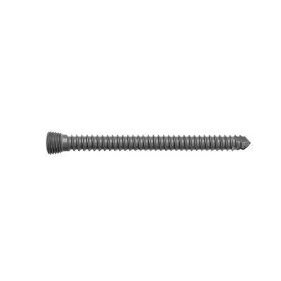 China High Quality Titanium Hex Locking Screws Orthopedic Implants With CE Certificate zu verkaufen