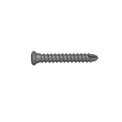 중국 Titanium High Quality Titanium Torx And Triangle Tapping Screw Orthopedic Implants With CE Certificate 판매용