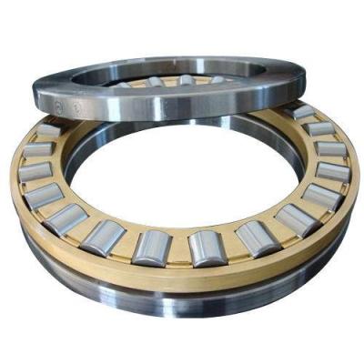 China Durable Hot Sale Auto Rear Axle Differential Bearings Thrust Cylindrical Roller Bearings for sale