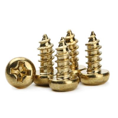 China Pan Colored Fasteners Bolts Nuts Drywall Screws Custom Screws Black Factory Brass Non-Standard Screws Designed for sale