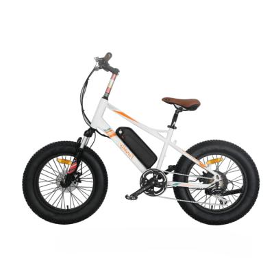 China Aluminum alloy color lcd display fat tire super power 48v adult electric bicycle snow beach electric bike for sale