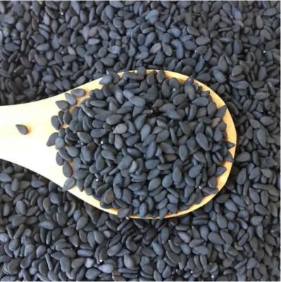 China BS 2021 Crop Top Quality Dry Black Sesame Seed for sale