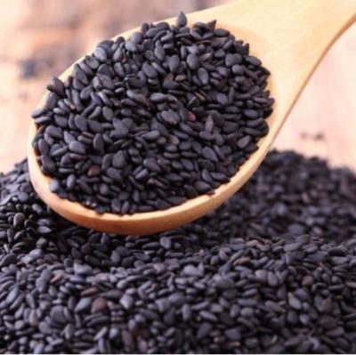 China BS 2021 Cultivation Factory Price Wholesale Dry Black Sesame Seeds for sale