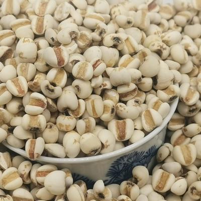 China JTCS 2021Crop Bean Coix Seed Raw Pearl Dry Red Barley Seed for sale