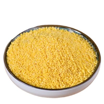 China 2021 High Nutrition Dry Sticky Millet Dried Yellow Millet Good Taste Hulled Yellow Millet for sale