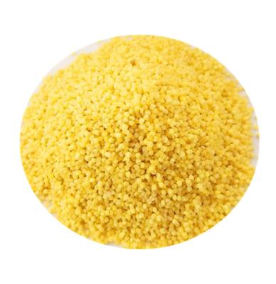 China YHM 2021Crop Rich Broomcorn Good Quality Dry Grain Protein Hulled Yellow Millet Seed for sale