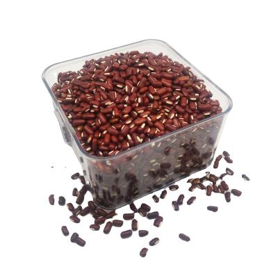 China ARBB Factory Directly Supply Professional Grain Dried Red Bamboo Bean for sale