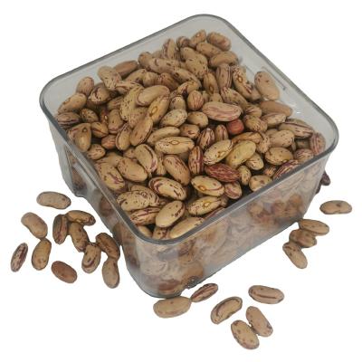 China LSKB Direct Wholesale Standard Large Grain Dry Light Spotted Kidney Bean for sale