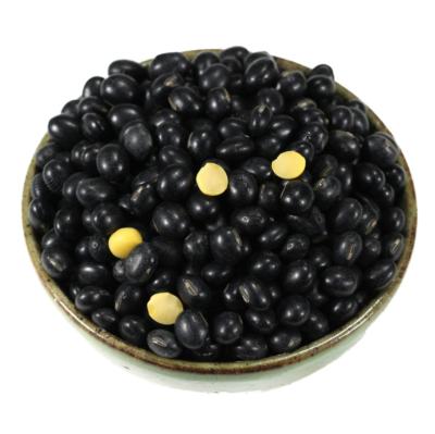 China BSYK Best Price Dried Bulk Black Soybean Seeds With Yellow Core for sale