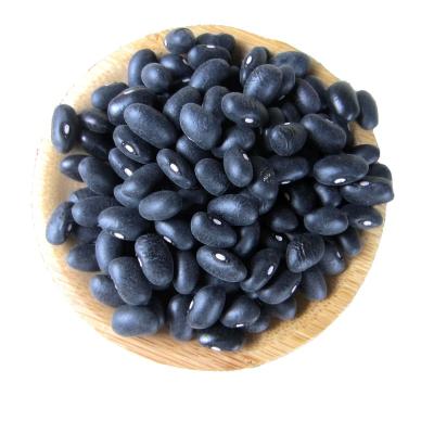 China BKB Factory Price Finest Directly Supply Dried Kidney Kidney Bean From Grain Black for sale