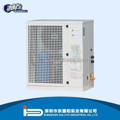 China Refrigeration Parts DOLUYO Outdoor Side Wall Condensing Unit for sale