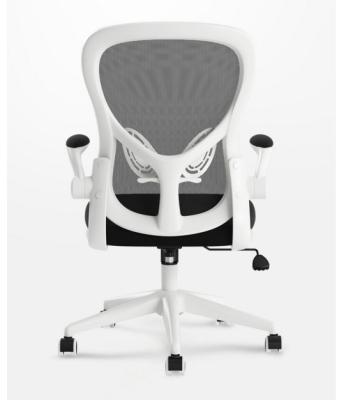 China (Size) Hbada Office Chair Adjustable Ergonomic Computer Mesh Chair With Lumbar Support Chair Office for sale