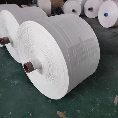 China Recyclable Customized Printing Tube Sand Bags Roll Bag Woven Bag PP Raffia Cloth Fabric à venda