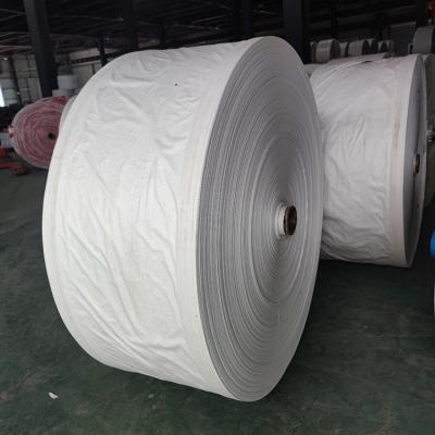 China High Quality Recyclable 100% PP Spunbonded Non Woven Fabric Roll for sale