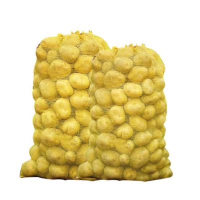 China Agriculture Vegetable Packaging PP Net Bag/Orange Potato Garlic Fruit Firewood Mesh Bag/Onion Bags for sale