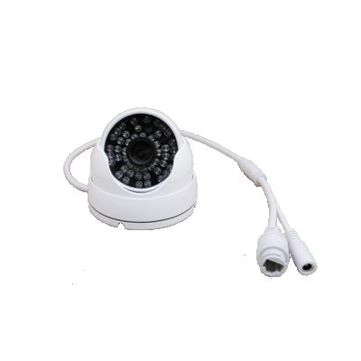 China Waterproof / Waterproof 5MP Sony 335 Mini Dome Indoor Camera 20M IR Distance IP Network Security System IP Camera for sale