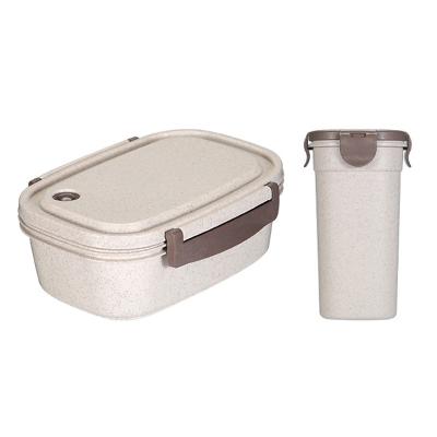 China OEM Food Grade PP Bento Box Food Storage Container Microwavable Degradable Lunch Box And Water Bottle for sale