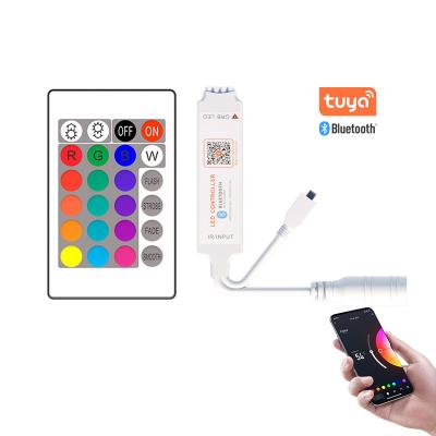 China Control Lights Blue 24key IR 5-24V 12V Keys 24key Strip Remote Controller Tuya Smart APP Mini Alexa Voice 24 RGB LED Tooth LED Controller for sale