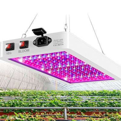 China LED Grow Light 1000W Phytolamp 216Leds Chip Phyto Growth Lamp Full Spectrum Waterproof Plant Lighting LED For Growing Light MGL007 for sale