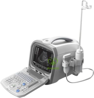 China Other Medical Ekografia Depth All-digital Adjustable Scanning Ultrasound Diagnosing Equipment for sale