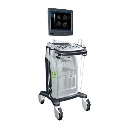 China Factory direct hot sale metal good quality all digital ultrasound system machine for sale for sale