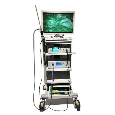 China High frequency bipolar electrotome 24 inch display cold light light source surgical laparoscopic instruments MY-P046 for sale