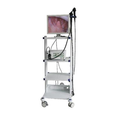 China Metal Gastroscope High Quality Electronic Visual Endoscope All-in-one Machine MY-P006C for sale