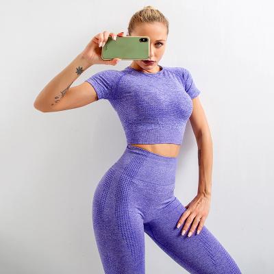 China Breathable Custom Yoga Long Sleeve Logo Set Seamless Activewear Apparel Sports Equipments Fits Womens Gym Fitness Sets for sale