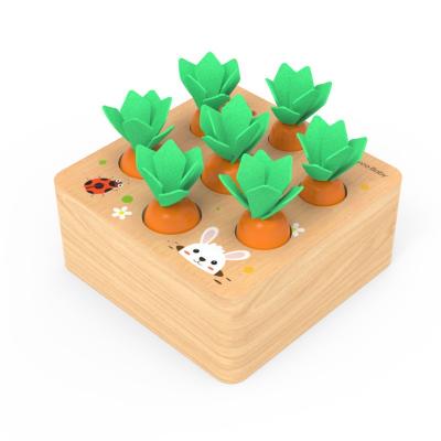 China Educational Wooden Pulling Carrot Shapes Size Matching Montessori Toy Set Cognition Montessori Educational Play Toy For Kids for sale