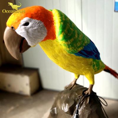 China Realistic Realistic Life Size Animal Bird Simulation Live Size Animatronics Animal Theme Parks Live Bird Parrot for sale