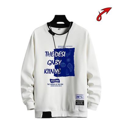 China Wholesale Printed Anti-Wrinkle Casual Men's Round Neck Sweater T-shirts Polyester Long Sleeve Graphic T-Shirt for sale