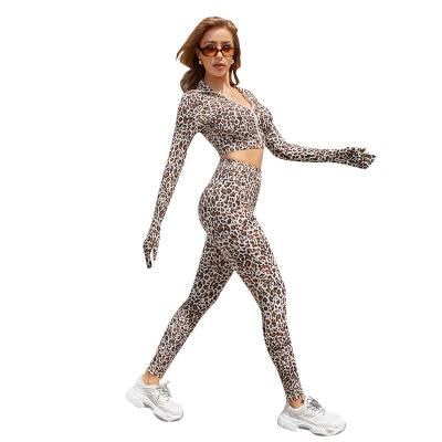 China Hot Selling Leopard Yoga Set Casual Slim Long Sleeve Fashion Breathable Two Piece Sweat Suits for sale