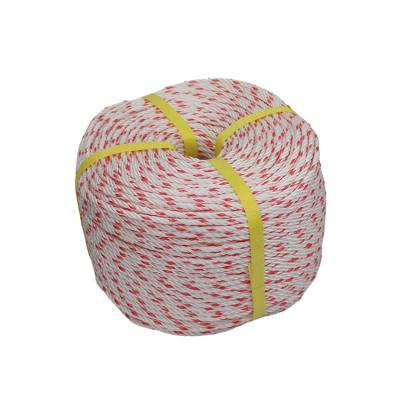 China High Quality Polyester Polyamide Plastic Cotton Twist Rope Polyethylene PP/PE Nylon Rope en venta